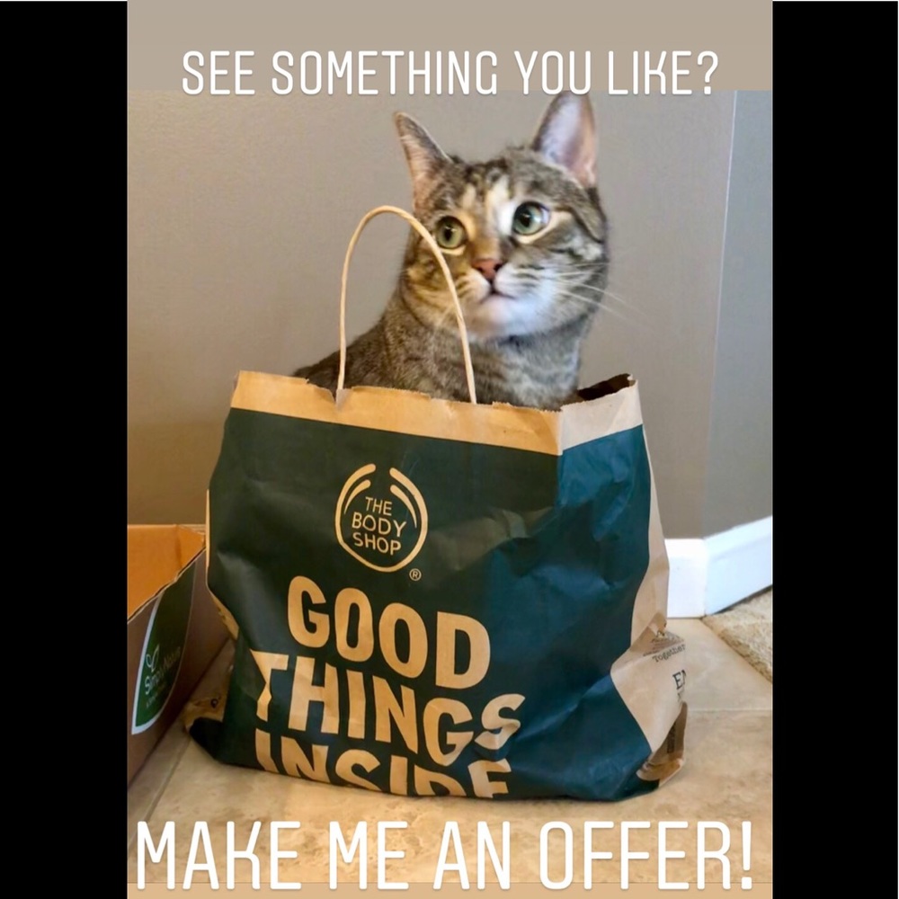 Cat not for sale😂